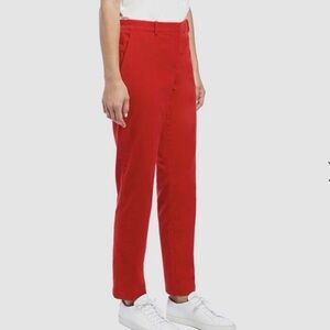 Theory bight red velvet pants.